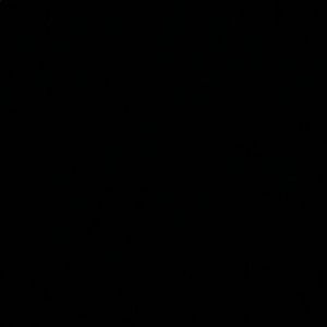 Meet your Posher, Marley